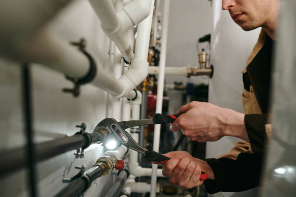 Best Clogged Drain Plumber  in Odessa, MO