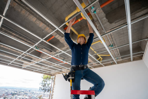 Best Local Plumber Services  in Odessa, MO
